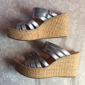 ❄️Ice Metallic Blue Wedges Born